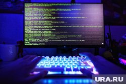 В Курганской области увеличилось количество IT-хищений на 21 процент