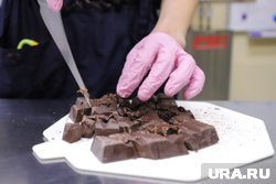 Шоколад с олениной из ХМАО покоряет страну
