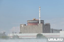 Сейчас дизельные генераторы, обеспечивающие ЗАЭС электропитанием, работают без проблем