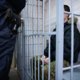 Подростки напали на полицейских, власти замерили радиацию: восемь главных событий недели в ХМАО