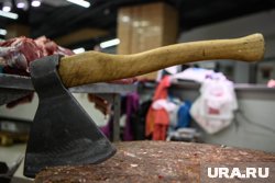 Полиция начала поиск хулигана с топором