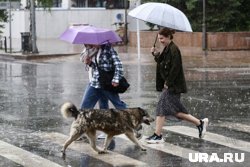 Дожди ожидаются в Тюмени в течение всего дня