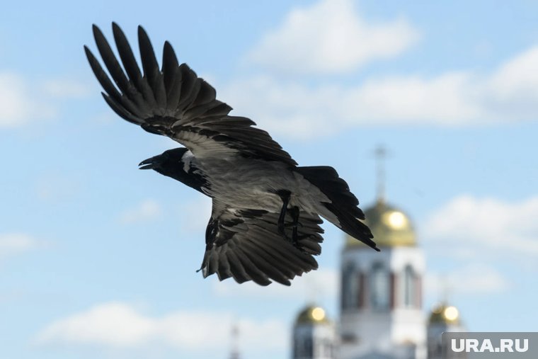 На руси этот день считался окончательным переходом лета в осень