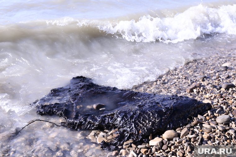 Таких кусков мазута мы не нашли на берегу с запада от Тамани