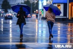 Курганцев ждет дождливый понедельник