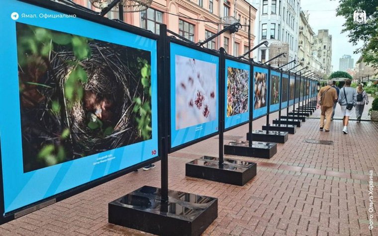  Выставка «Знакомьтесь: Новый Уренгой!» в Москве  