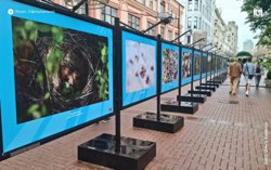  Выставка «Знакомьтесь: Новый Уренгой!» в Москве  