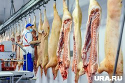 В 2024 году Россия экспортировала более 700 тысяч тонн мяса и субпродуктов, что на 27% больше уровня предыдущего года