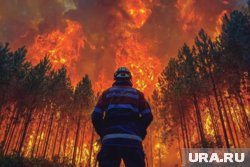 Пожар угрожает популяции редких птиц