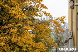С начала следующей недели в Прикамье ожидаются дожди