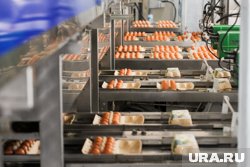 Птицефабрика «Челябинская» получила средства господдержки на оснащение техникой