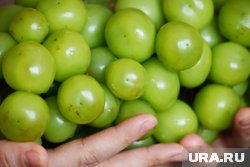 Больше, чем за полгода, китайский виноград подешевел с 600 до 300 рублей за килограмм