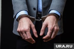Алексея Копейкина отправили в СИЗО на два месяца