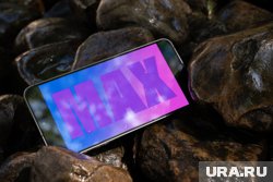 Через несколько недель в мессенджер Max интегрируется сервис «Госуслуги», заявил Горелкин