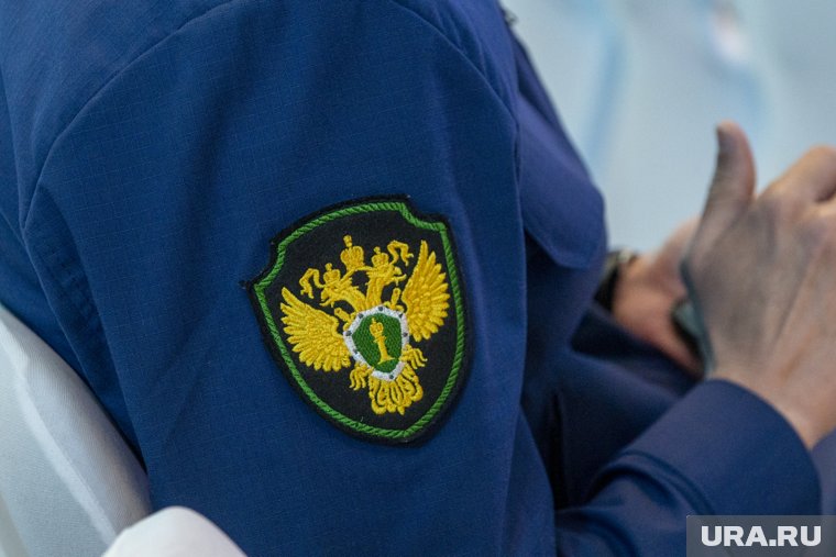 Прокуратура Пермского края инициировала проверку