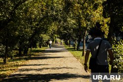 Синоптики дали прогноз погоды на первый месяц осени