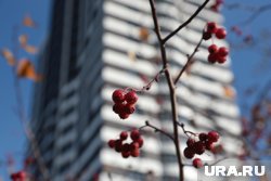 Несмотря на осадки, столбики термометров будут забегать за отметку в +20 °С