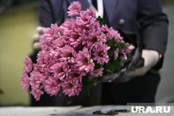 При заказе букета мошенники звонят жертве, чтобы уточнить время доставки