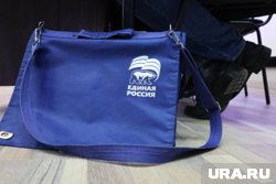 Романа Ефимова исключили из рядов единороссов