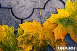 В Курганской области ожидается потепление