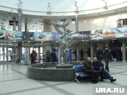 В кафе аэропорта нашли санитарные нарушения 