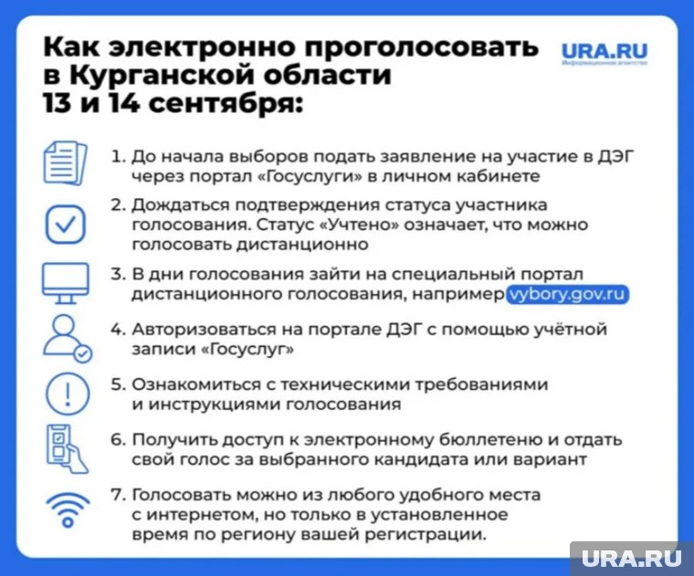 В Курганской области на выборах в облдуму можно будет голосовать в дистанционном электронном формате