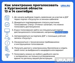 В Курганской области на выборах в облдуму можно будет голосовать в дистанционном электронном формате