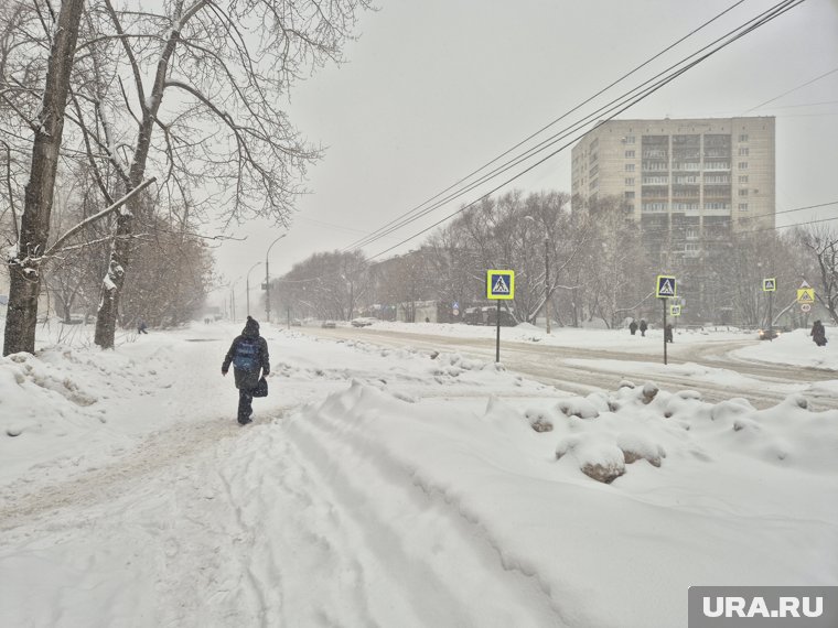 В среду, 12 февраля, в Перми ожидаются первые за неделю снегопады