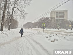 В среду, 12 февраля, в Перми ожидаются первые за неделю снегопады