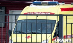 Врачи Нижневартовска спасли жизнь подростку, которого укусила гадюка 