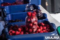 В Новом Уренгое оштрафовали уличных торговцев ягодами