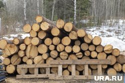 Предпринимательница признана виновной и должна выплатить штраф (архивное фото)