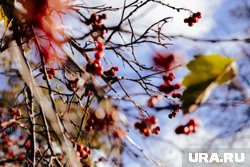 Относительное тепло продолжит поступать в регион с южными, юго-западными воздушными потоками