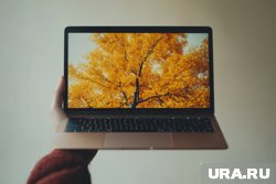 Тюменцы стали чаще заказывать ноутбуки 