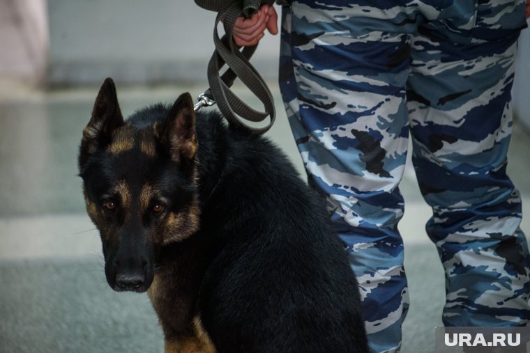 Полицейские задержали мужчину недалеко от железнодорожных путей