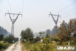 Мэрия субсидирует до 50% затрат СНТ на ремонт элетролиний