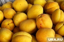 Водители везли фрукты не через заявленный пункт пропуска