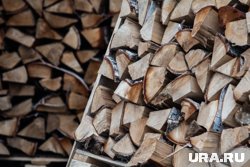Крупнейшее лесодобывающее предприятие региона не платит за аренду участков