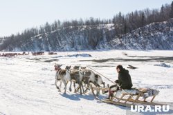 Тундровики пополняют запасы в факториях Ямальского района