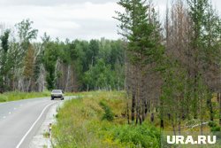 Власти отремонтировали дорогу в Очере