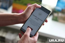В 2025 году дистанционное электронное голосование будет применяться в 24 регионах России
