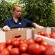Засуха и ключевая ставка перепишут цены на продукты