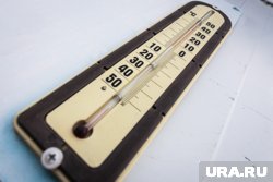Апрель в Кургане оказался рекордным по температуре и осадкам