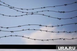 Тюменец арестован до 7 октября
