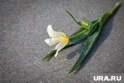 Жертвы часто не осознают, что находятся в деструктивной связи, поскольку насилие носит скрытый характер