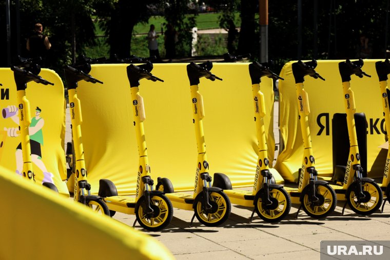 Наведение порядка в сфере Лошкин держит на личном контроле