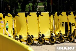 Наведение порядка в сфере Лошкин держит на личном контроле
