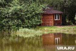 Насекомое питается икрой и мальками