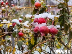 Из-за перепадов температур на дорогах будет сыро