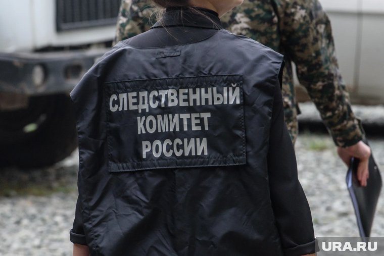 Следователи организовали проверку